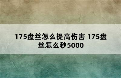 175盘丝怎么提高伤害 175盘丝怎么秒5000